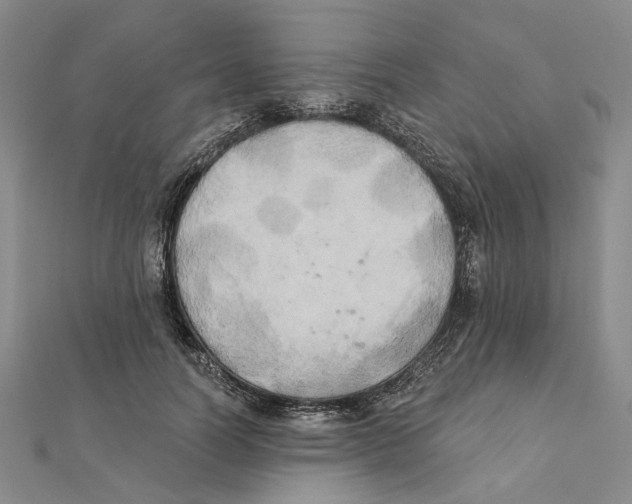 X0000111360746200908071153