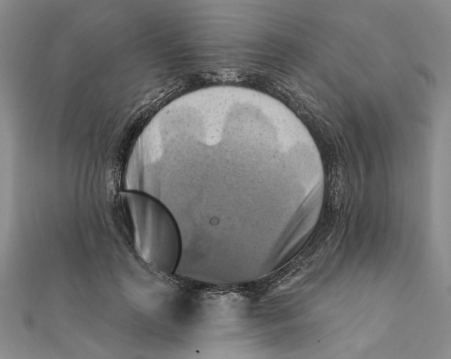 X0000111360747200908071153