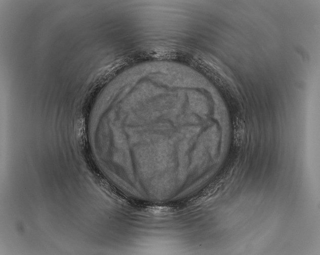 X0000111360748200908071153