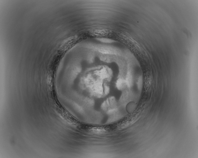 X0000111360749200908071153