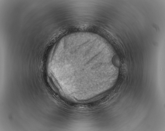 X0000111360750200908071153