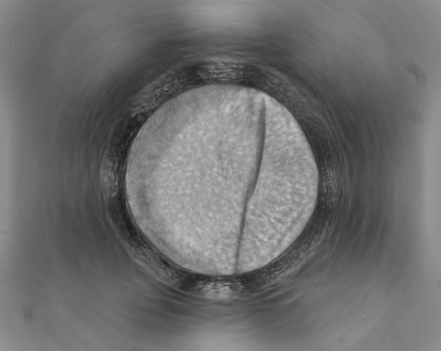 X0000111360751200908071153