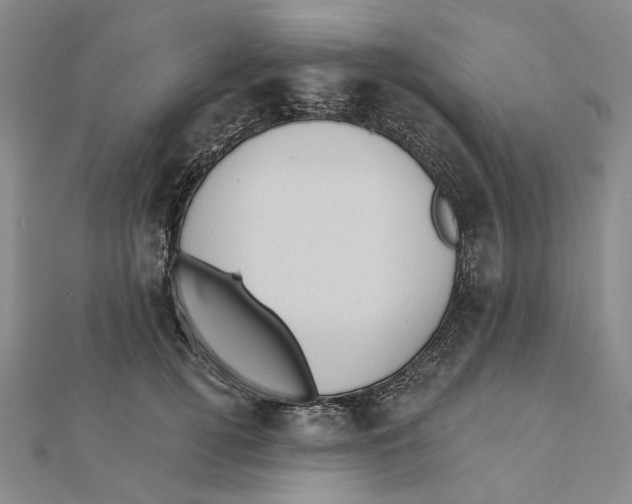 X0000111360752200908071153