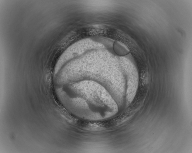 X0000111360753200908071153