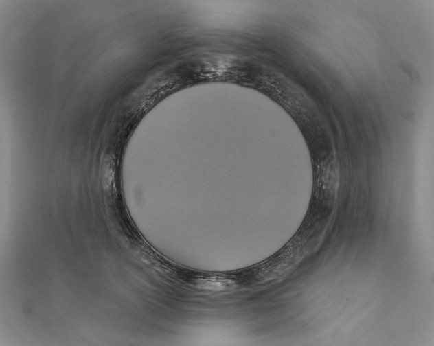 X0000111360754200908071153