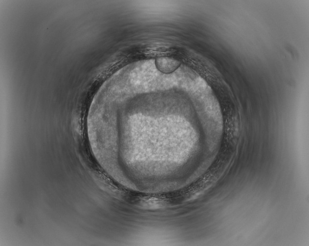 X0000111360755200908071153