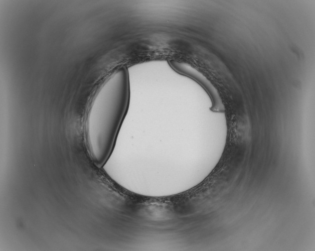 X0000111360756200908071153