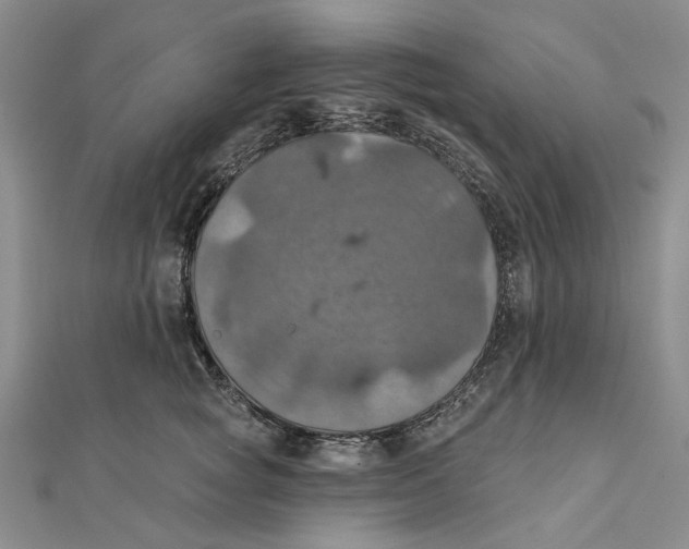 X0000111360757200908071153