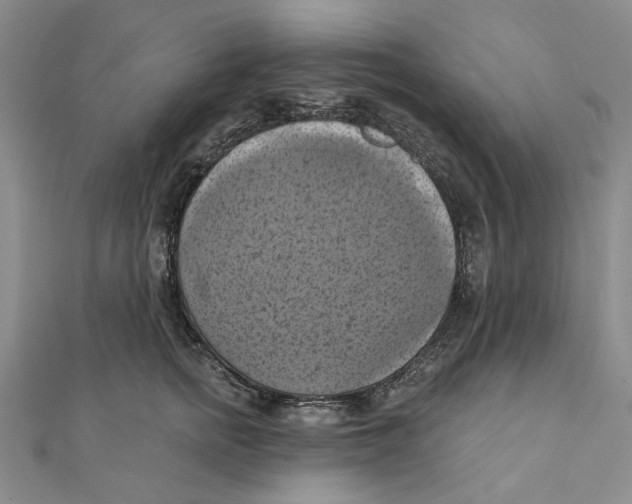 X0000111360758200908071153