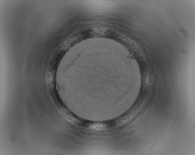 X0000111360759200908071153