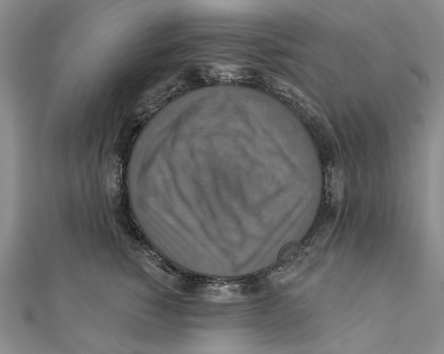 X0000111360760200908071153