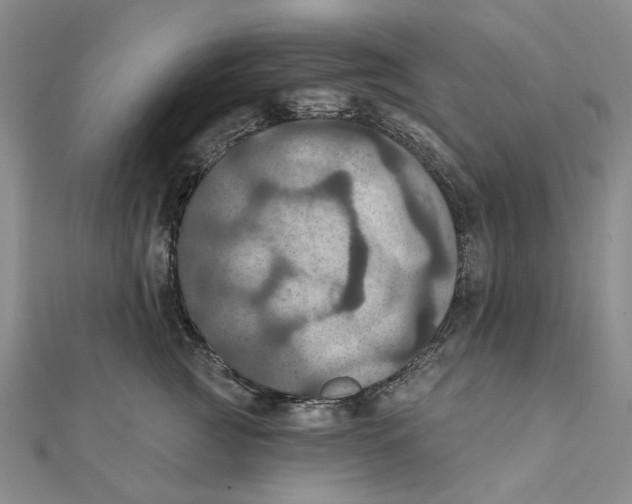 X0000111360761200908071153