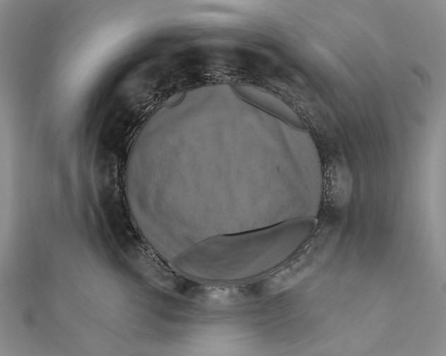 X0000111360762200908071153