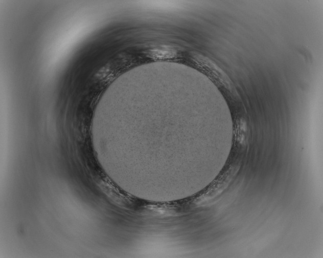 X0000111360763200908071153