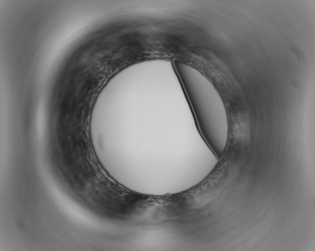 X0000111360764200908071153