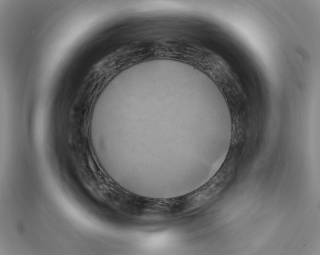 X0000111360765200908071153