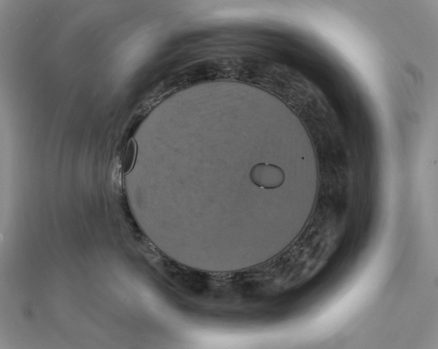 X0000111360766200908071153