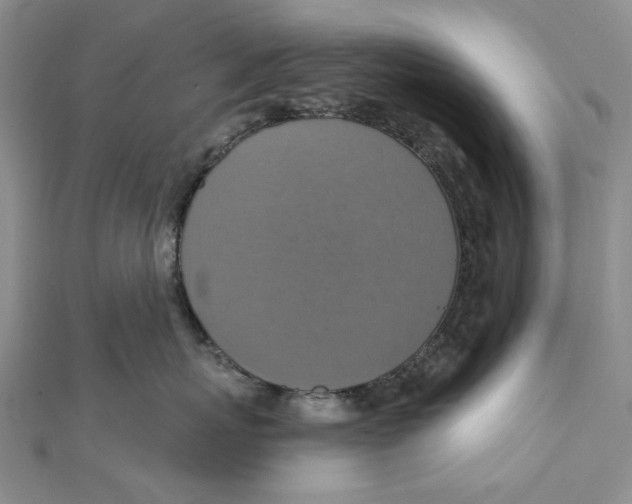 X0000111360767200908071153