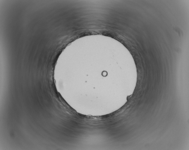 X0000111360768200908071153