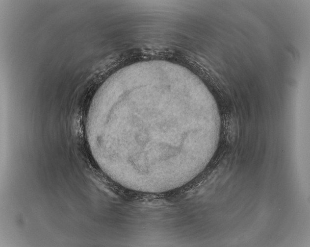 X0000111360770200908071152