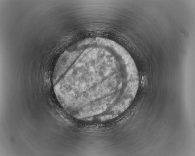 X0000111360771200908071152