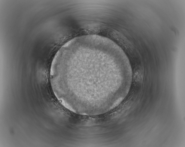 X0000111360772200908071152