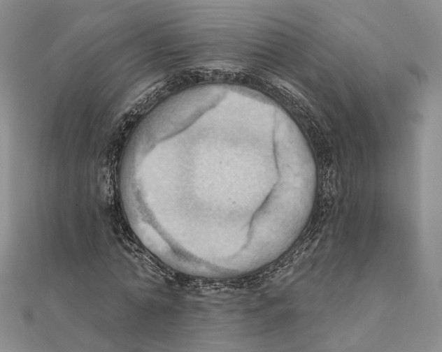 X0000111360774200908071152