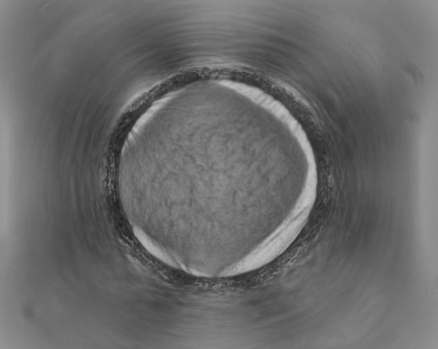 X0000111360775200908071152