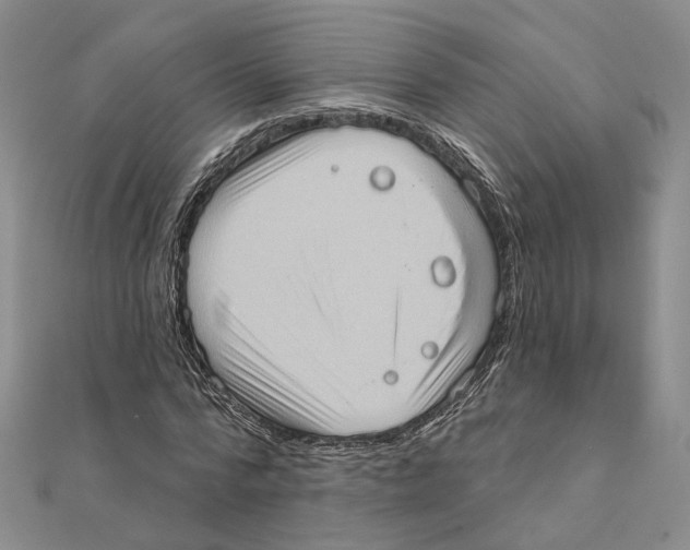 X0000111360776200908071152