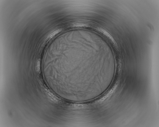 X0000111360777200908071152