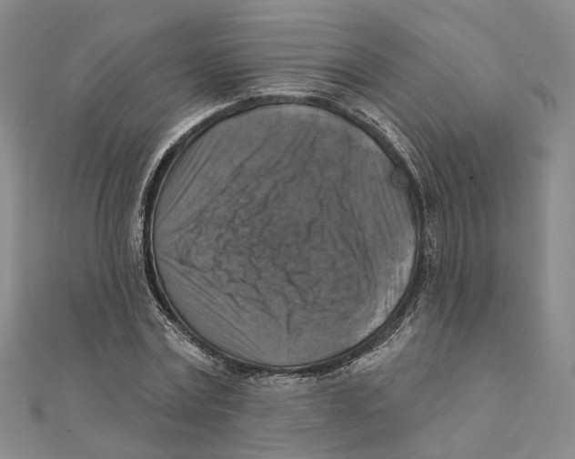 X0000111360779200908071152