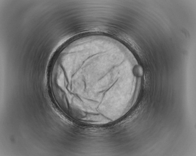 X0000111360780200908071152