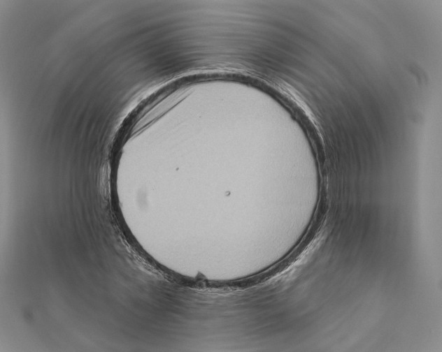 X0000111360781200908071152