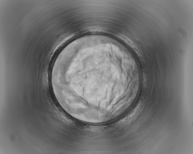 X0000111360782200908071152