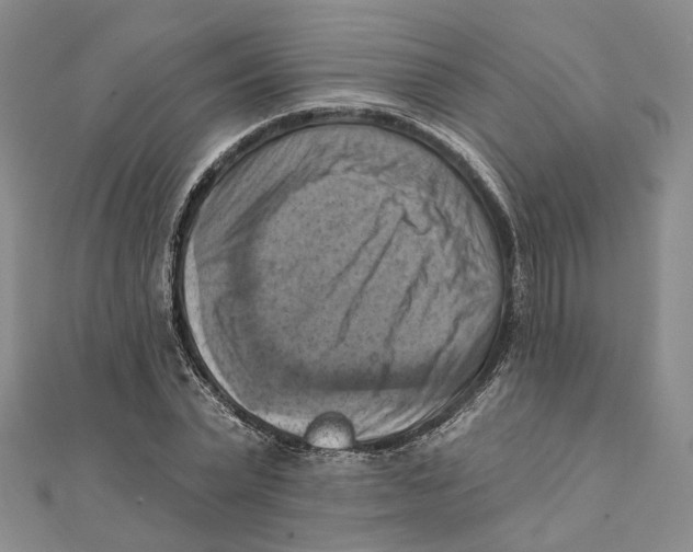 X0000111360783200908071152