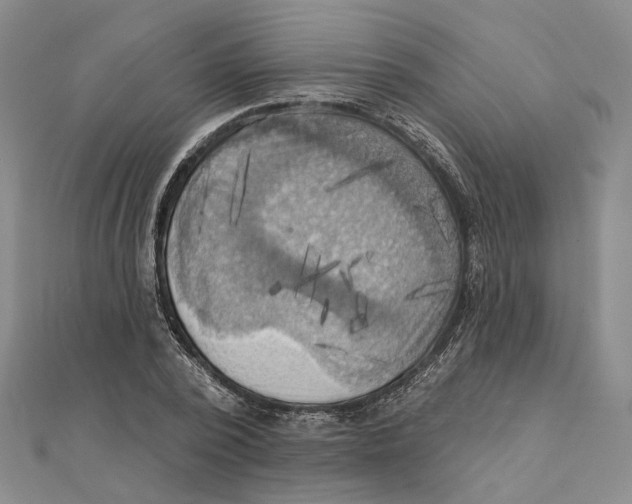 X0000111360784200908071152