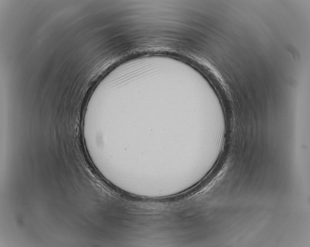 X0000111360785200908071152