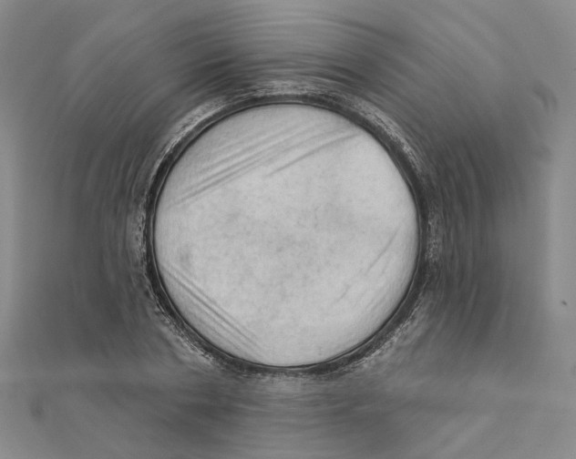 X0000111360786200908071152