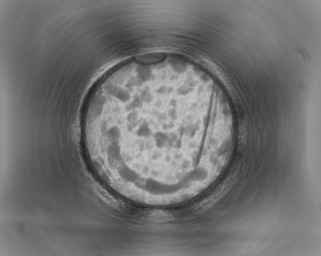 X0000111360787200908071152