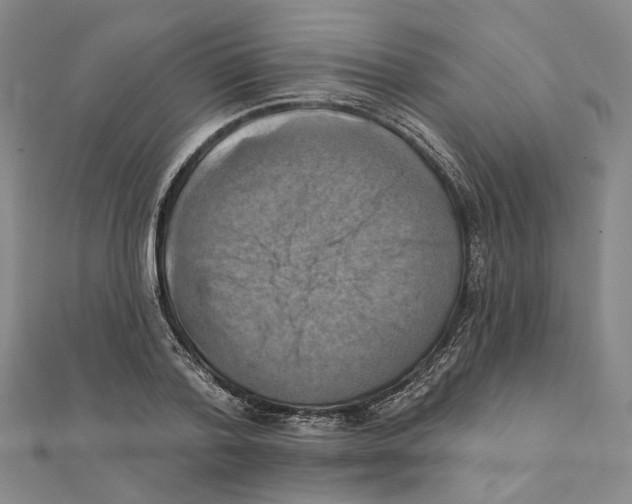 X0000111360788200908071152