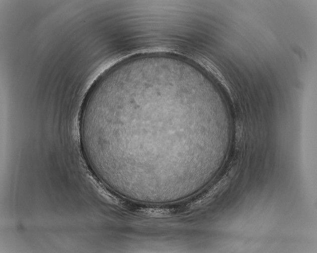 X0000111360789200908071152