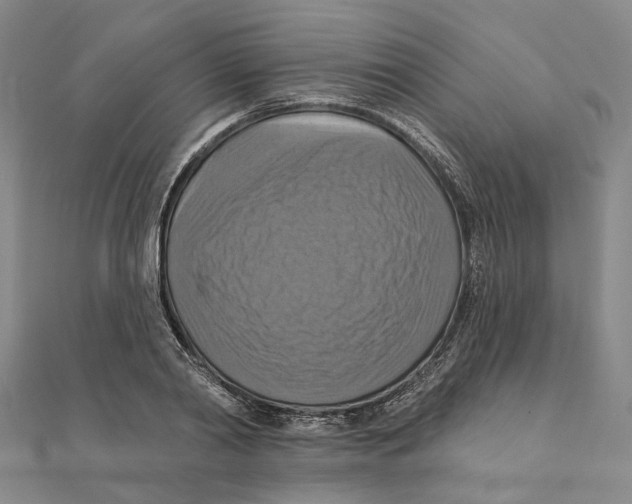 X0000111360790200908071152