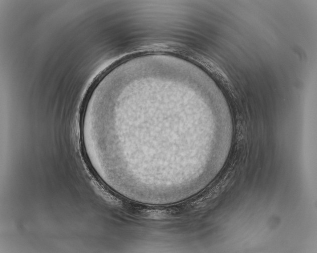 X0000111360792200908071152