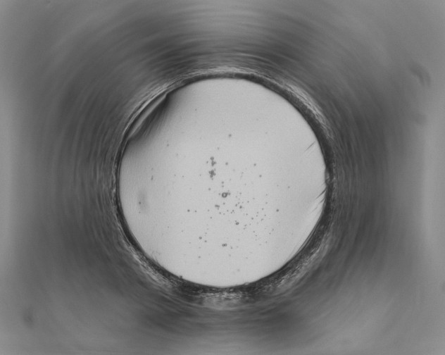 X0000111360793200908071152