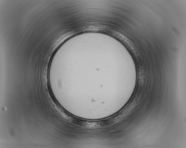 X0000111360794200908071152