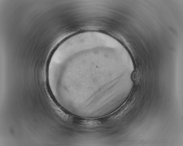 X0000111360795200908071152