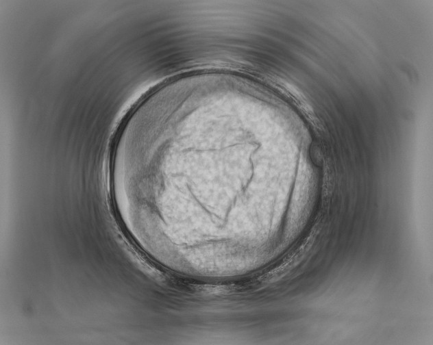 X0000111360796200908071152