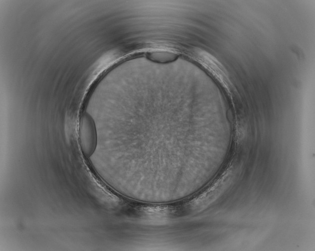 X0000111360797200908071152