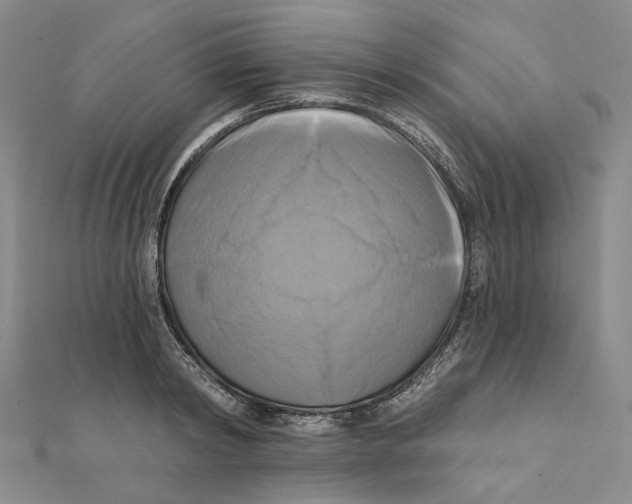 X0000111360798200908071152