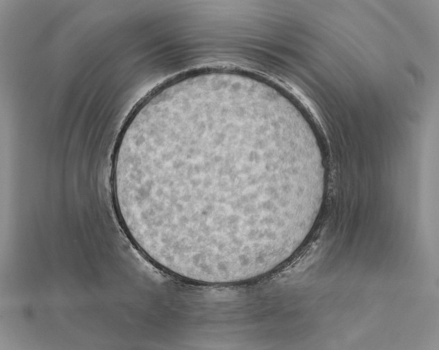 X0000111360799200908071152